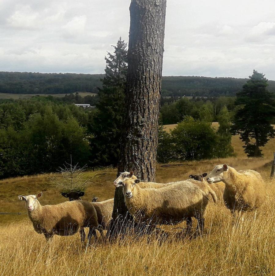Broesarp Kaellagarden Stora Gardslaegenheten Exteriér fotografie