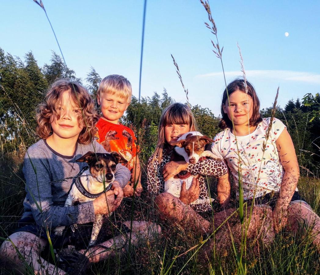 Broesarp Kaellagarden Stora Gardslaegenheten Exteriér fotografie