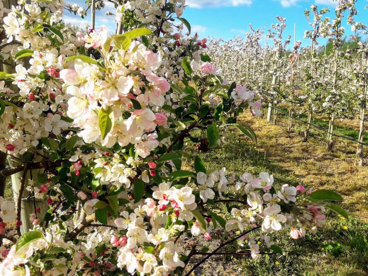 Broesarp Kaellagarden Stora Gardslaegenheten Exteriér fotografie