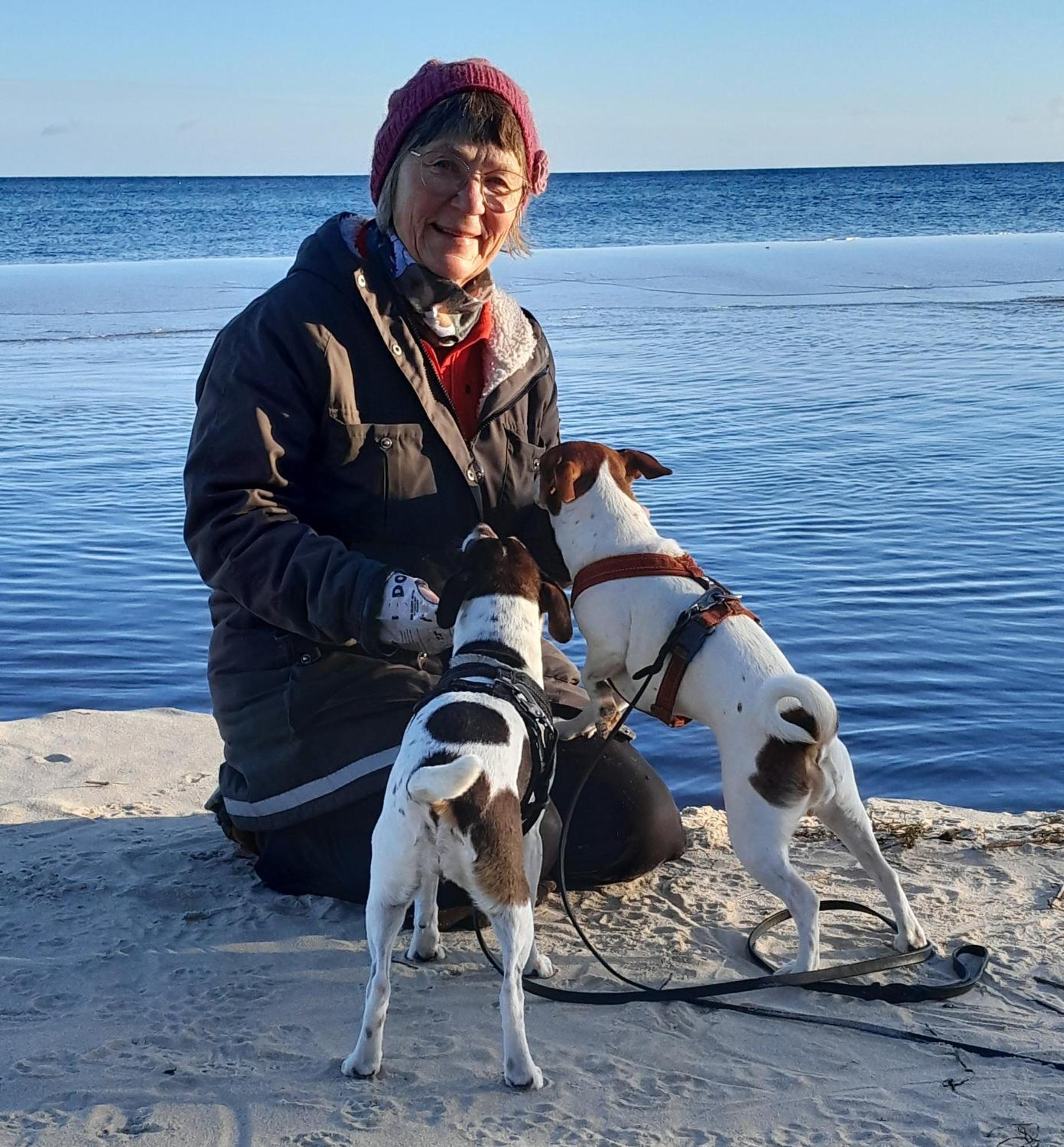 Broesarp Kaellagarden Stora Gardslaegenheten Exteriér fotografie